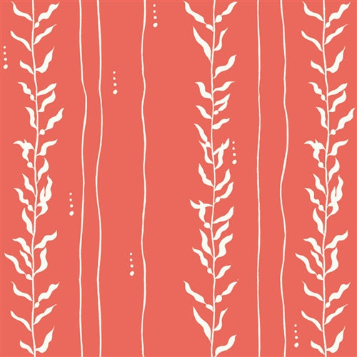 Kelp Coral