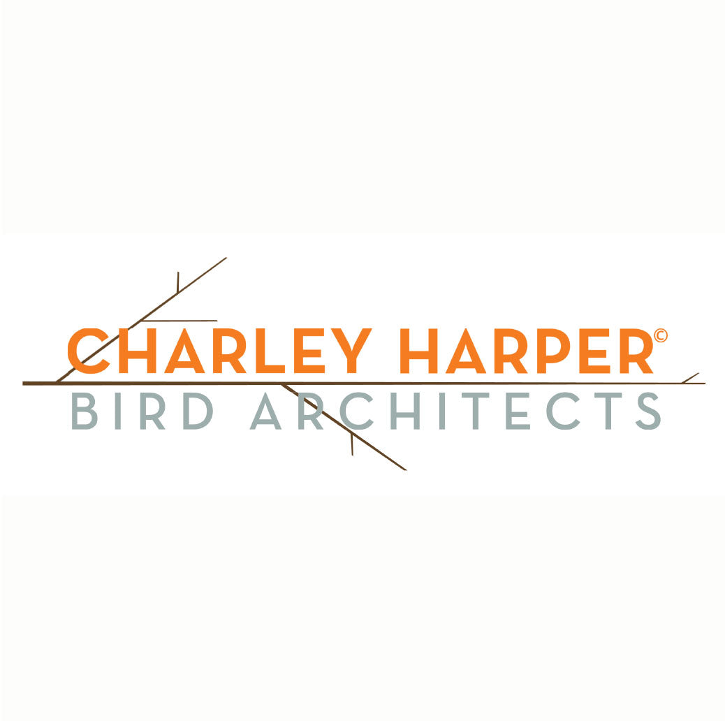 BIRD ARCHITECTS POPLIN | CASE PACK | 16 TOTAL