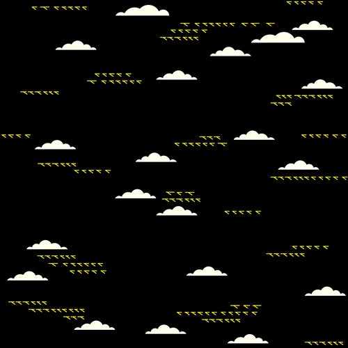 BIRDS AND CLOUDS BLACK CANVAS