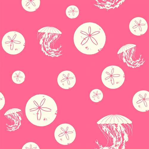 SAND DOLLAR AND JELLY PINK
