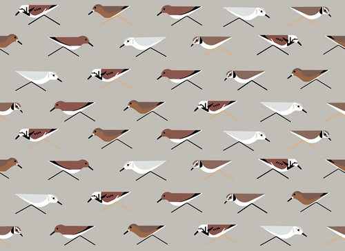 SANDERLINGS KNIT