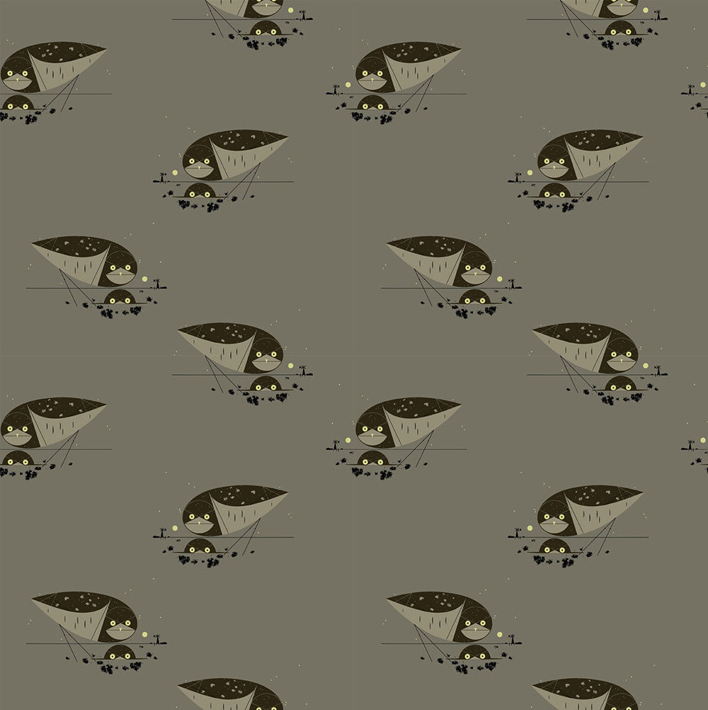 BURROWING OWL in CANVAS