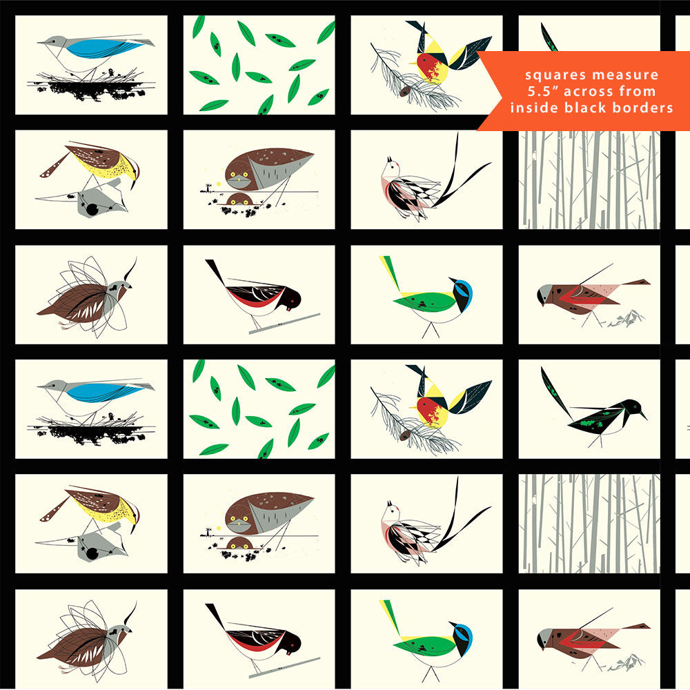 WESTERN BIRDS PATCH