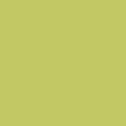 GRASS KNIT SOLID