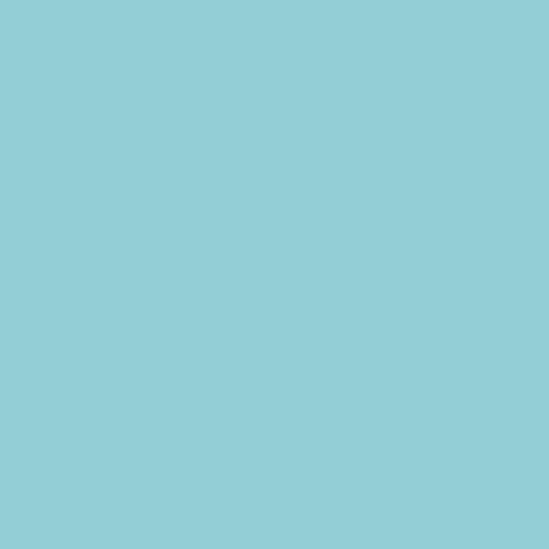 Solid Pool Canvas