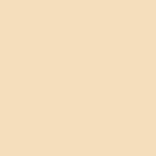 Shell Knit Solid