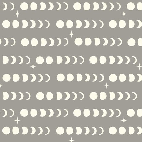 MOON PHASE SHROOM CANVAS