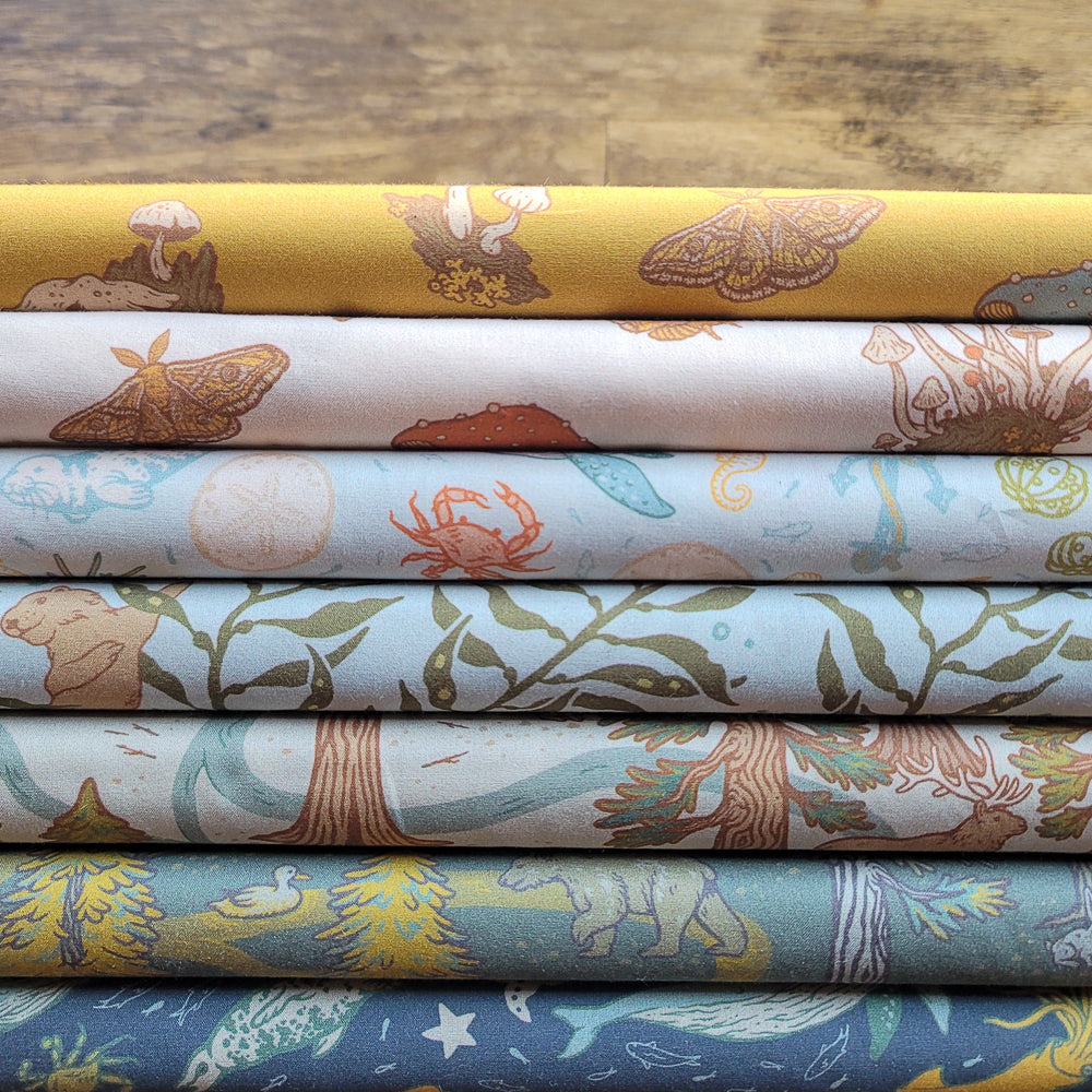 The Wild Coast Case Pack, 15 YD, 7 Total
