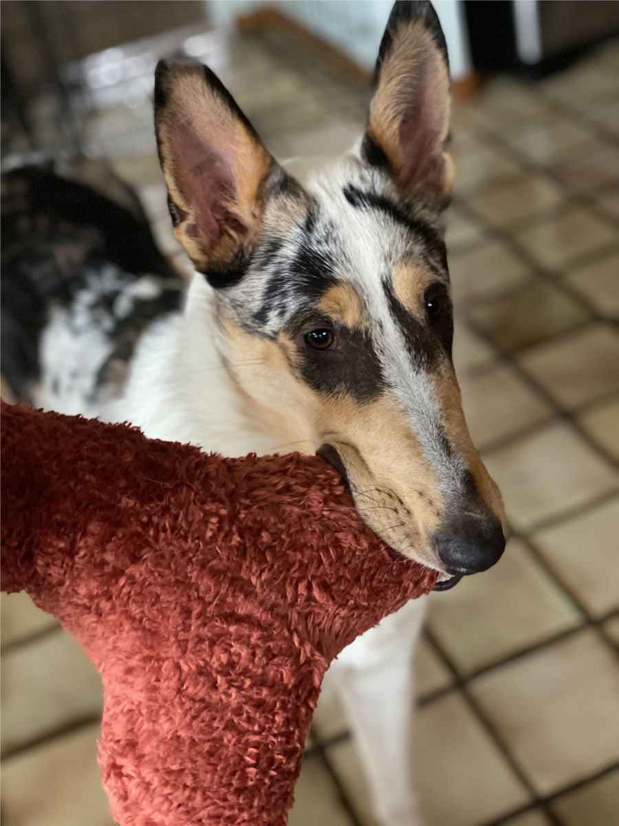 Sew A Plushy Pet Toy with Sherpa!