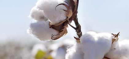 What Does it Mean to be “Organic” Fabric? Let’s Dive In!