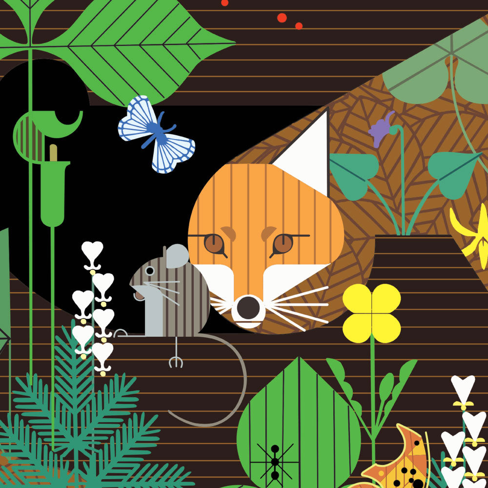 Charley Harper Woodland Wonders