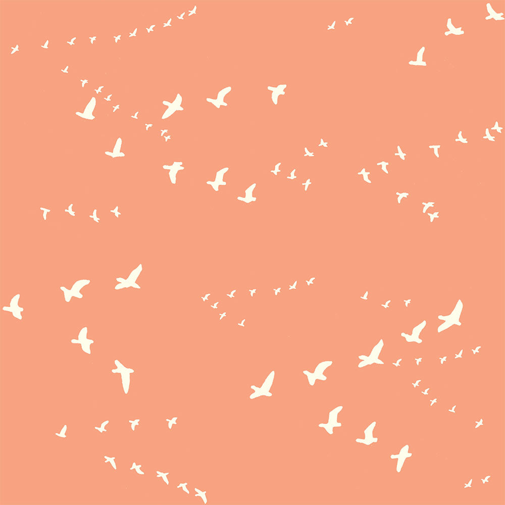 FLIGHT in PEACHY