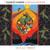 Charley Harper Hawaiian Volcanoes Fat Quarter Bundle, 8 Total | SOLD OUT