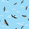 Soaring Santa Rosa
