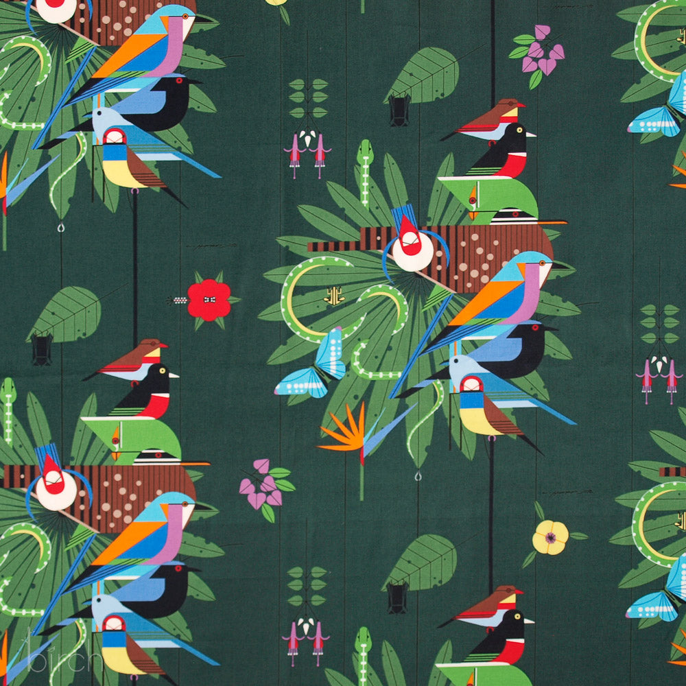 Discovery Place Main Poplin *NEWLY ADDED SKU!*