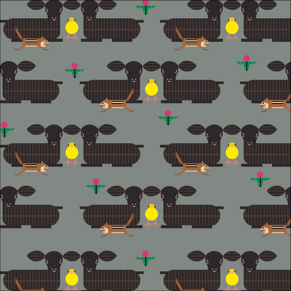 Furry Photo Bomber Gray Poplin