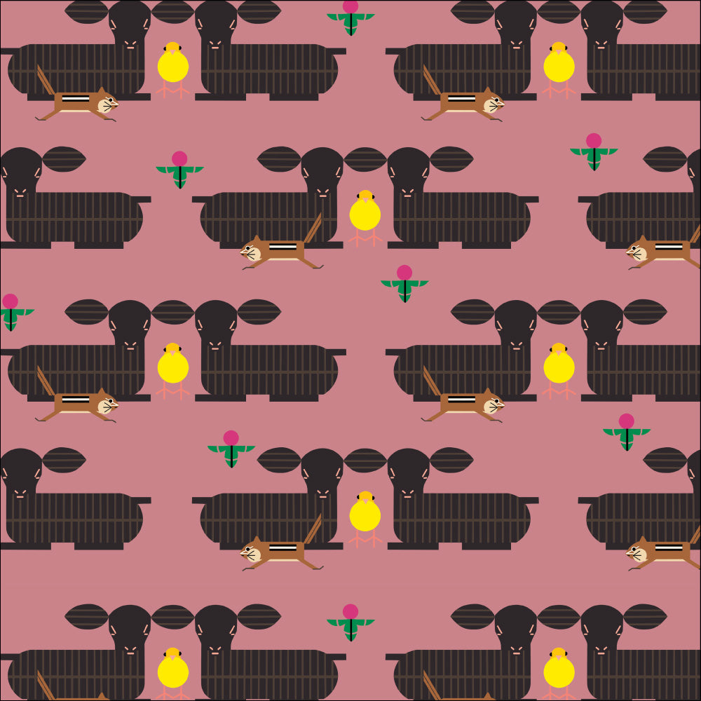 Furry Photo Bomber Pink Poplin