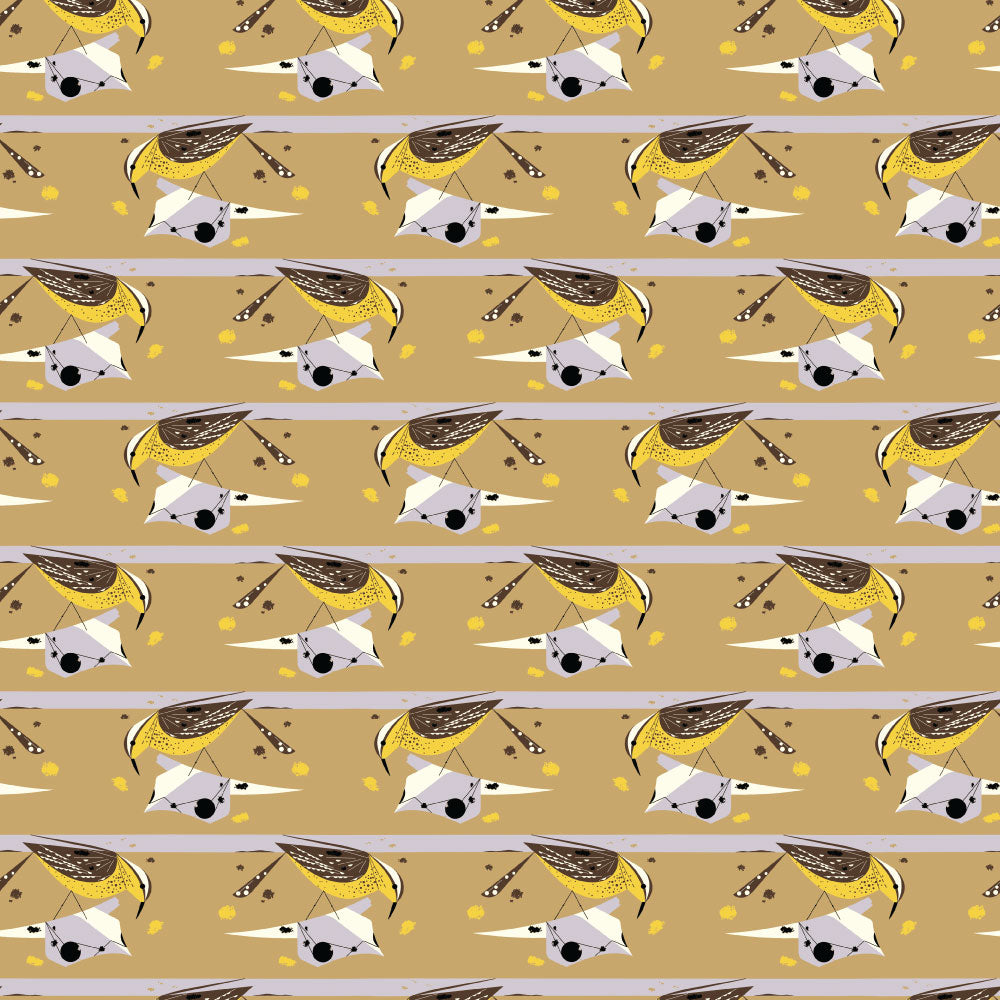 Mini Cactus Wren Poplin