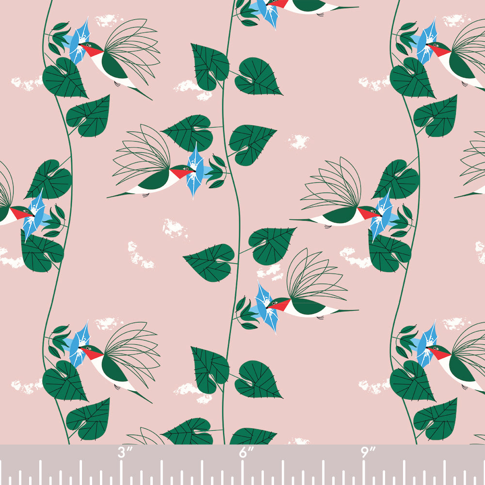 HUMMING BIRDS KNIT