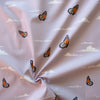 Canyon Butterflies