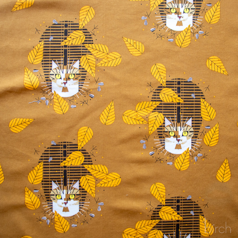 Birdwatcher Canvas