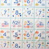 Homestead Patch Poplin