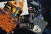 Charley Harper Halloween Case Pack, 15YD Bolts - WRENTED SOLD OUT