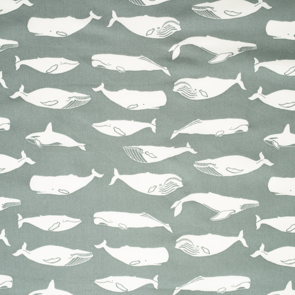 Kujira Grey Poplin