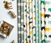 Mochi Dot Boy / Metallic Gold Poplin