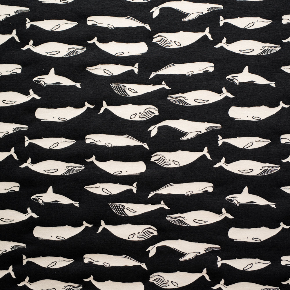 Kujira Black Interlock Knit