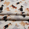 Take A Walk Cream Poplin