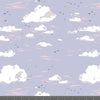 Big Sky Blue Poplin