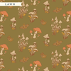 Mushrooms Mossy Lawn