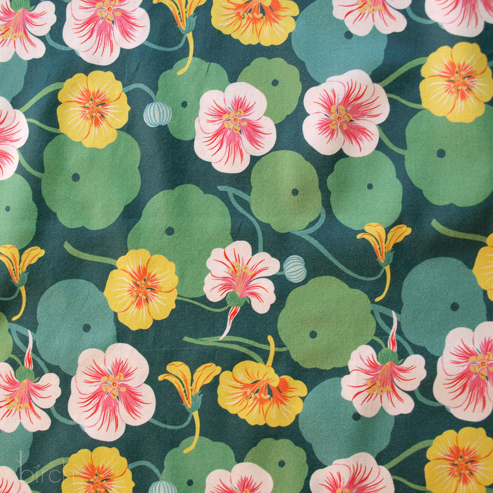 Nasturtiums Lawn