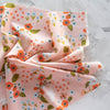 Feathered Friends Blush