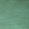 Eucalyptus Solid Poplin