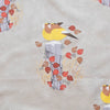 Evening Grosbeak