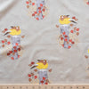 Evening Grosbeak