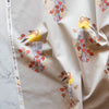 Evening Grosbeak