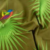 Flamboyant Feathers Canvas