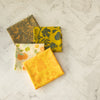 Citrus Tonal Orange
