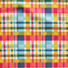 Plaid Party Market Poplin