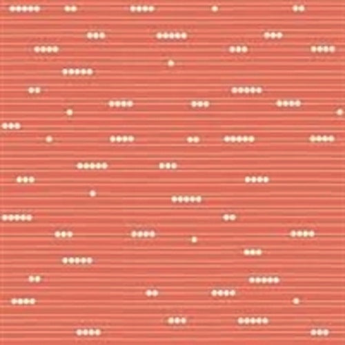 ABACUS CORAL