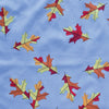 Santa Rosa Fall