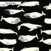 Whales and Stripes Case Pack, 10 Total