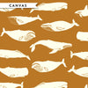 Whales and Stripes Case Pack, 10 Total
