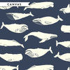 Whales and Stripes Case Pack, 10 Total
