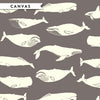 Whales and Stripes Case Pack, 10 Total