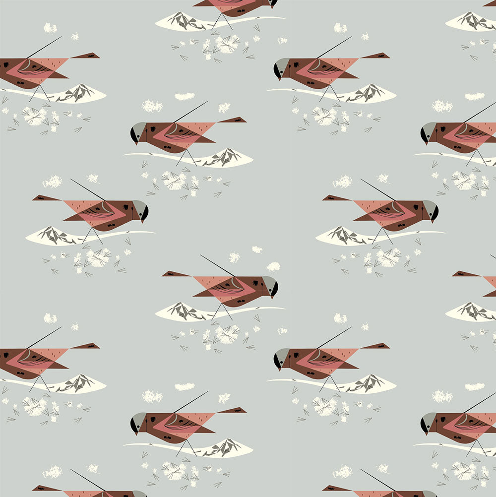 GRAY CROWNED ROSY FINCH