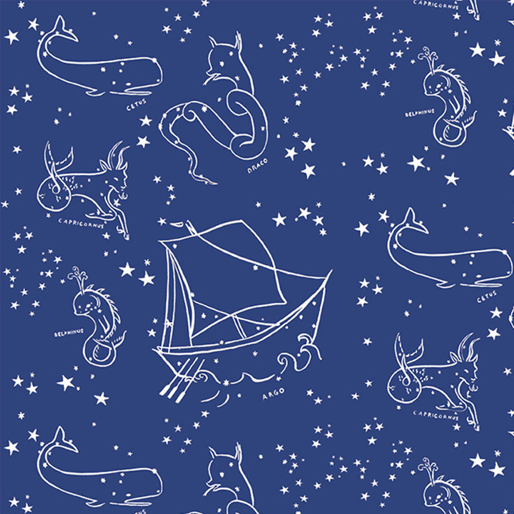 STARS OF THE SEA CANVAS